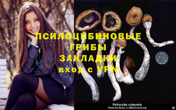 ГАЛЛЮЦИНОГЕННЫЕ ГРИБЫ Абинск