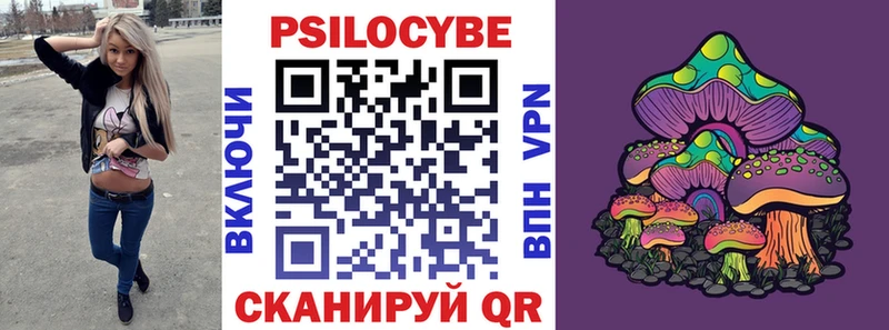 omg ТОР  продажа наркотиков  Кяхта  Псилоцибиновые грибы прущие грибы 