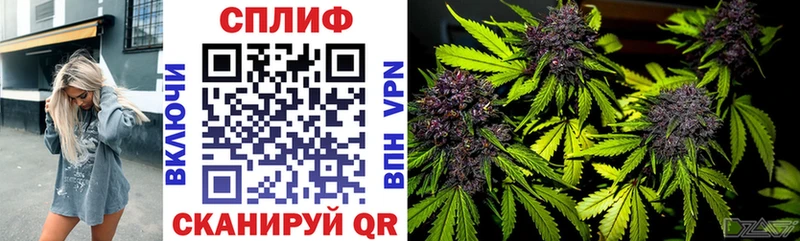 Конопля Bruce Banner Кяхта